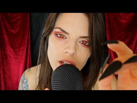 ASMR Long Nail Mic Scratching | Vamp Ballerina Rose | No Talking After Intro