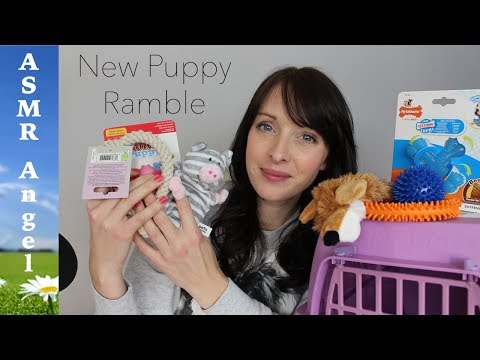 I'm getting a puppy - ASMR Softly Spoken Ramble