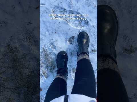 ASMR Walking In Snow ☃️ #asmr #asmrshorts #asmrsnow #harvarduniversity
