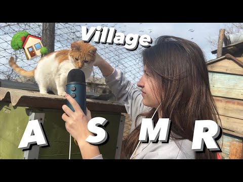 Asmr 100 triggers in Village 🏡