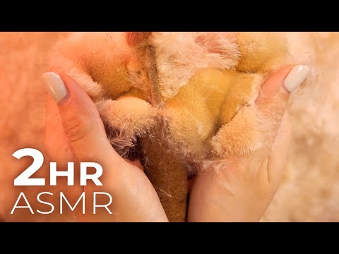 10 ASMR Triggers You’ve Never Heard of Before | 2 Hours (No Talking)