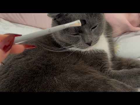 Pamuş ile minik bir ASMR..