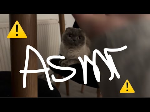 ASMR - lofi | FAST AND AGGRESSIVE ⚠️| no talking - camera touching-brushing -tapping and more 😴