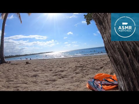 Beach Day in Dorado, Puerto Rico | Tropical Ocean Ambience | Calming ASMR Experience