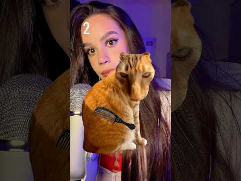 Ngl rhis game is scary 😨 #asmr #asmrvideo #sleep #asmrsounds #asmrtriggers