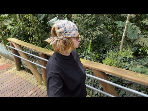 ASMR Vlog | Sons da Natureza, Camera tapping & Sussurros 😴