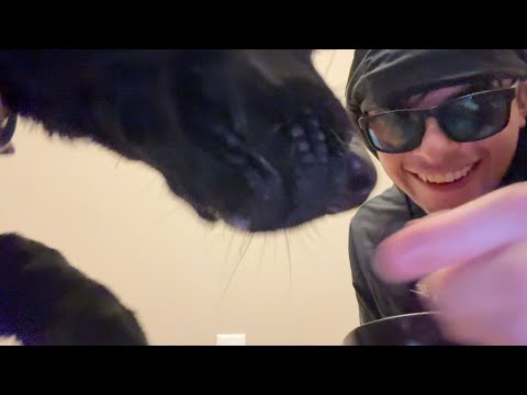 ASMR with dog