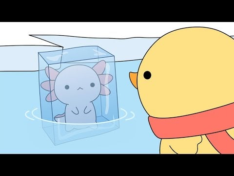treating a frozen axolotl | ASMR animation