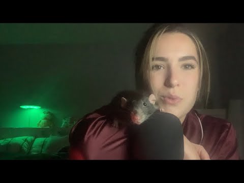 ASMR | Fast & Aggressive Mic Scratching & Plucking (Ft. My Pet Rat)