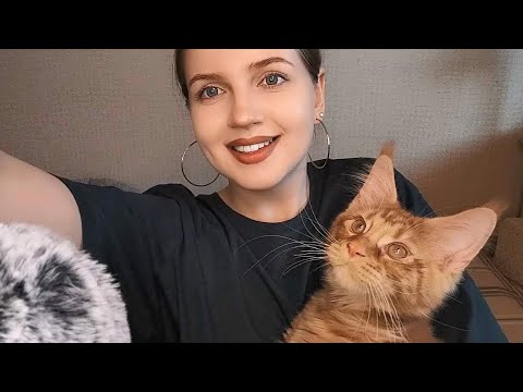 АСМР Мой Мейн-кун Джек • ASMR My Maine Coon Jack