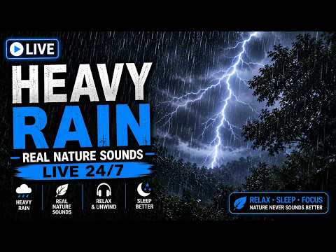 🌧️ HEAVY RAIN & THUNDERSTORM LIVE ⚡ Real Rain Sounds for Sleep, Relaxation & Focus | 24/7
