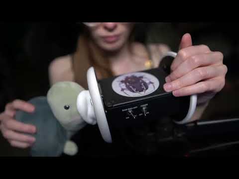 ASMR With Sammy The Kissing Turtle 