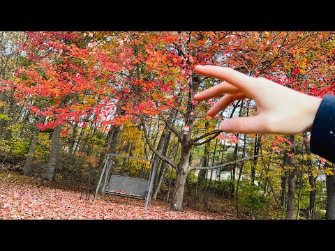 ASMR! 🍁Crunchy FALL Leaves 🍁