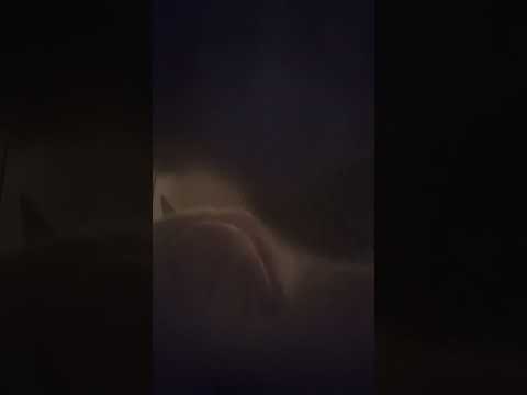 Paws and Claw Screen Tapping Lofi Furry ASMR #asmr #furry #lofimix #goat