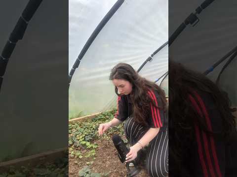 ASMR Outdoor triggers👩‍🌾 #asmr #asmrsounds #asmrvideos #asmrcommunity