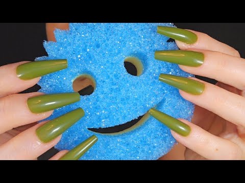 ASMR Rough Sponge Scratching | Different Scratching Speeds| No Talking After Intro | Long Nails