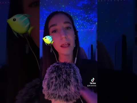 #asmr reverse bug search!