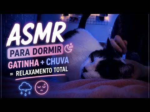 ASMR PARA DORMIR | GATINHA + CHUVA = RELAXAMENTO TOTAL 🌧️😴