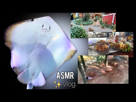 ASMR VLOG- MAIOR ÁQUARIO DA AMÉRICA LATINA + FEIRA NORDESTINA, BIO PARQUE, PRAIA DE COPA E PIZZA 🍕