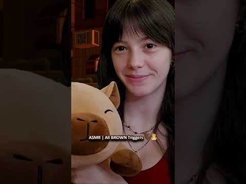ASMR | All BROWN Triggers 🤎🧸 ─♡─ #asmr #triggerassortment
