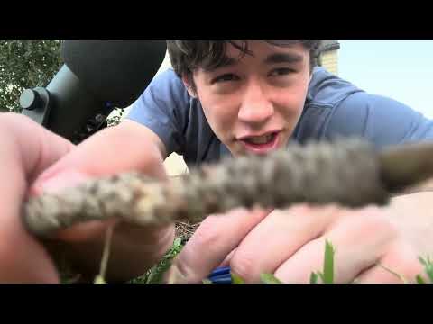 asmr reconnecting with nature