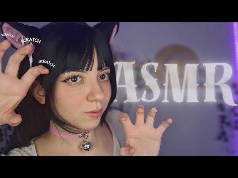 VOCÊ VAI DORMIR COM ESSE BANHO DE GATO 😻💦 ASMR