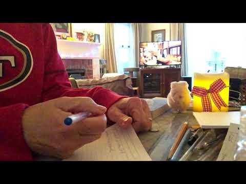 Ad-free ASMR; Soft spoken role play - meal planning service