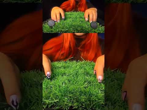 This Sound Is So Satisfying… 😍 | ASMRScratching (No Talking) #tingles #shorts #asmr