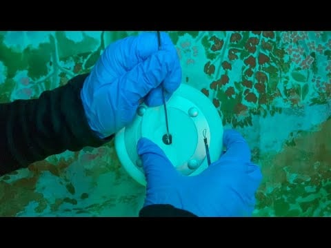ASMR | Long Ear To Ear Cleaning - Exterior & Interior, 10+ Tools, Visual Tingles, Soft Spoken