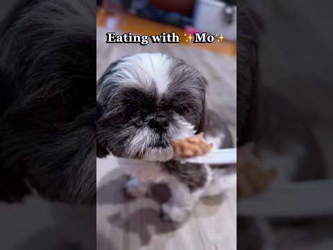 ASMR eating sounds with my son ✨Mo✨ Which one do you think is his favorite?