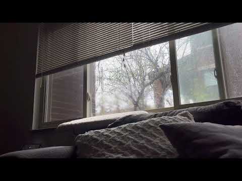 take a nap with cats in the rain 🐈 🐈‍⬛| ASMR, city sounds, rain, birds chirping