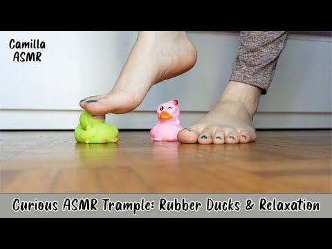 Curious ASMR Trample: Rubber Ducks & Relaxation