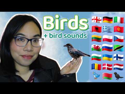 ASMR BIRD IN DIFFERENT LANGUAGES (Bird Sounds, Stuttering, Whispering) 🎵🐦‍⬛[20 Languages]