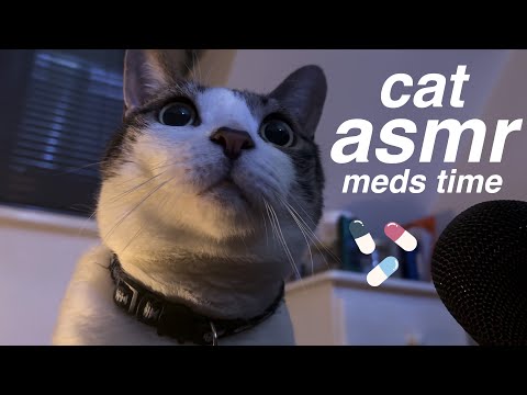 ASMR giving my cat his medication (lots of purring + treats)
