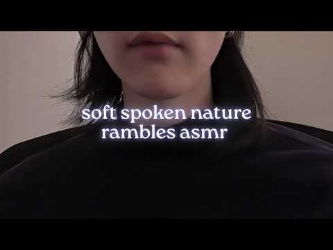 lofi asmr🌲calm soft-spoken nature visualization practice, making space series