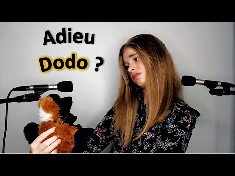 [ASMR français] Quel avenir pour Dodo ?