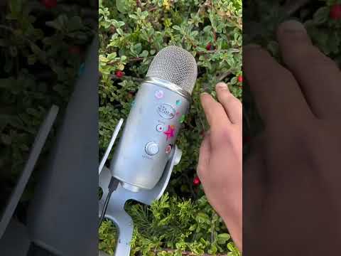ASMR IN A MEMORIAL 🪦