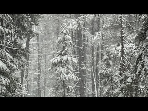 ASMR 10 minutes of snowy cabin white noise (lofi)