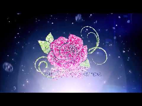 Healing Somatic Practice for Boundaries for Women.