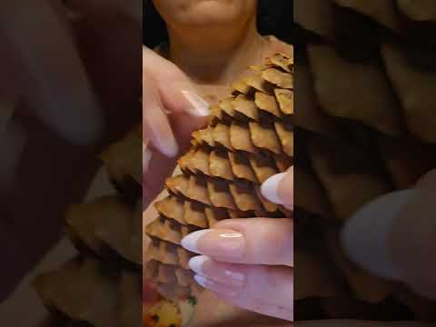 Aggressive Pinecone Scratching #asmr