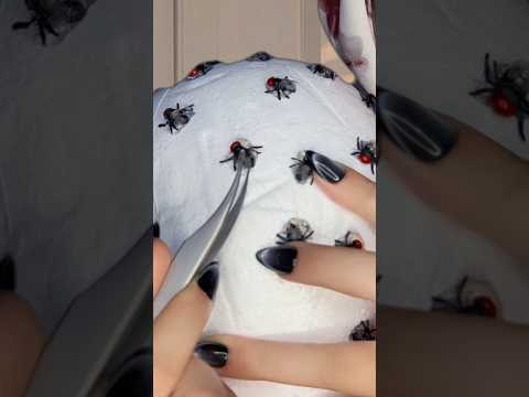 Bugs Plucking #asmr #satisfying #visualtingle #nails #mouthwhisper