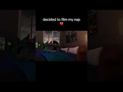 nap time !!  #furry #memes #vrchat