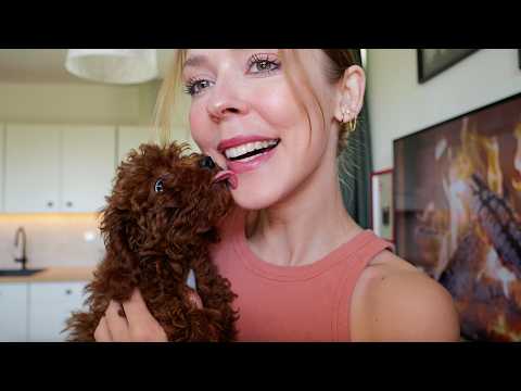 I Got A Toy Poodle Puppy 🐶🐾🐻 #ASMR