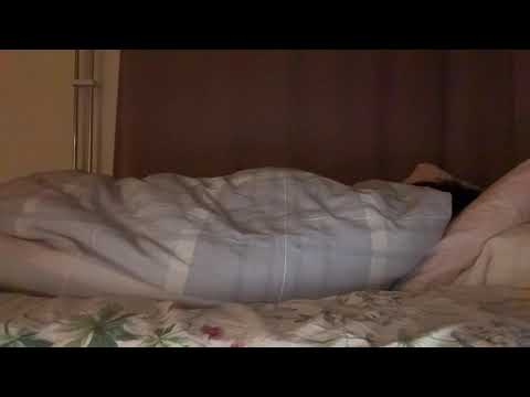 Asmr sleeping snoring