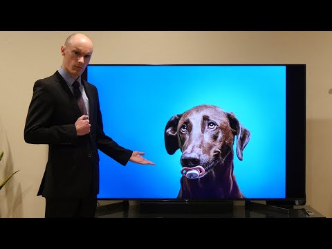 ASMR | Reviewing Stock Photos of Dogs