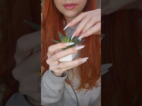 fake plant asmr💚#asmrvideo #relax #fakeplants #asmr #asmrsounds #plantasmr #tappingtriggers #relax