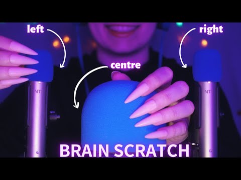 Asmr Mic Scratching - Brain Scratching | Hypnotic Asmr No Talking for Sleep with Long Nails 1H