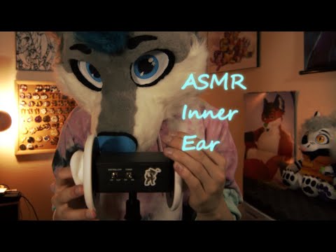 [Furry ASMR] Scratchies for your inner ears uwu