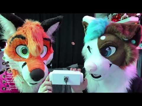 Making a fox who doesn't like ASMR do live ASMR