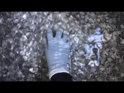 ✨LATEX GLOVES👋✋ with RELAXING 👀 water BEADS part 🙋 [[ASMR]]